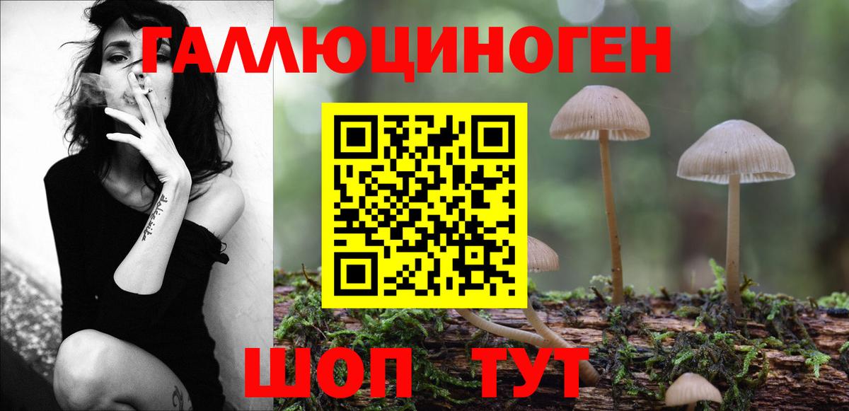Галлюциногенные грибы прущие грибы  Вход с VPN  Славгород 